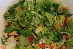 636799138_1468480651953957_7706462738682442648_n