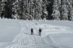 636753659_1472541438214545_1467773808246194264_n