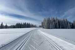 639545234_1472541528214536_732698939329337823_n