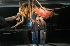 663004736_1514116727390349_3766787115389713125_n