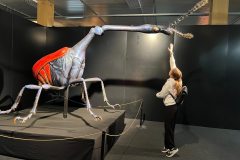 663342480_1514116820723673_2046173535434903357_n