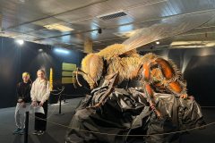 665489391_1514116790723676_8829445834153135104_n