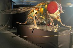 666651132_1514116797390342_1679119710129186296_n