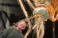 668534776_1514116754057013_4217025498895242282_n