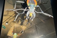 669603400_1514116740723681_5678878352686154862_n