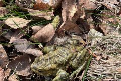 673544695_1519197186882303_7158907056936714863_n