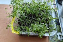 665754210_1514122174056471_7081117912198434791_n