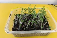 666418495_1514122117389810_6835223562621273814_n