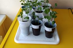 667291431_1514122080723147_1608209105350853884_n