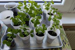 667814509_1514122044056484_5906596237154767824_n