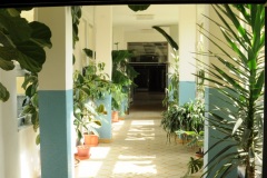 skola-022