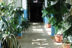 skola-025